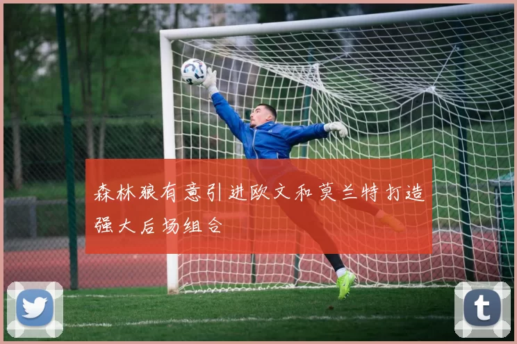 森林狼有意引进欧文和莫兰特打造强大后场组合