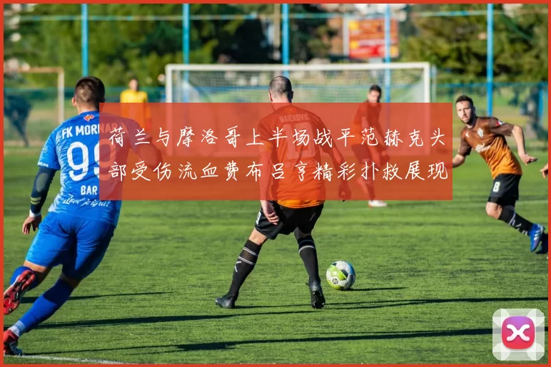 荷兰与摩洛哥上半场战平范赫克头部受伤流血费布吕亨精彩扑救展现实力
